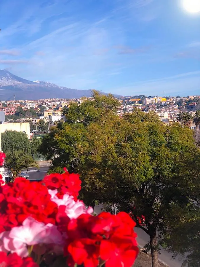 B&B Policlinico Gaspare Rodolico Κατάνια Bed and Breakfast